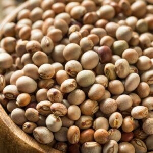 Pigeon Pea by GTB Exports
