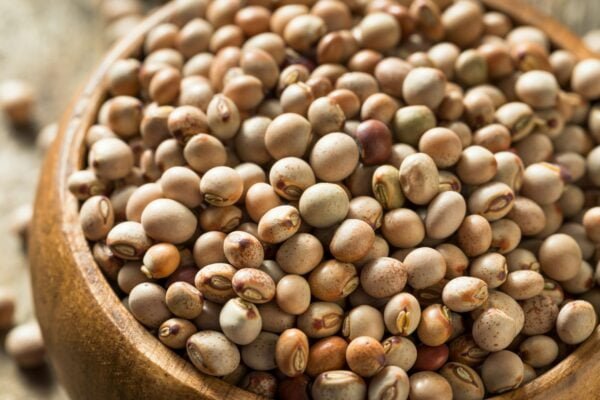 Pigeon Pea by GTB Exports