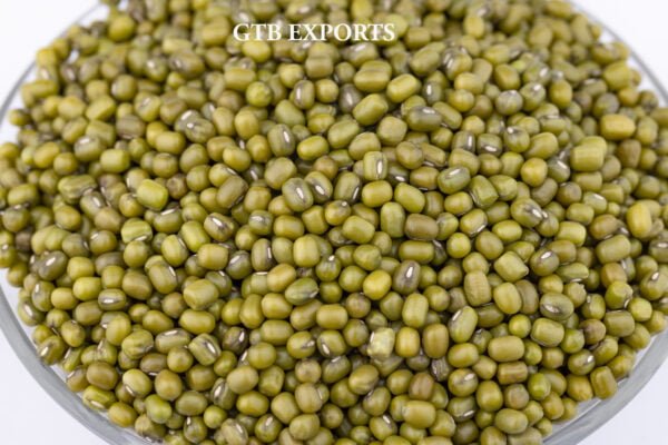 Green Gram by Gtb Exports
