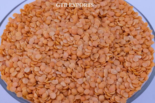 Red lentils by Gtb Exports