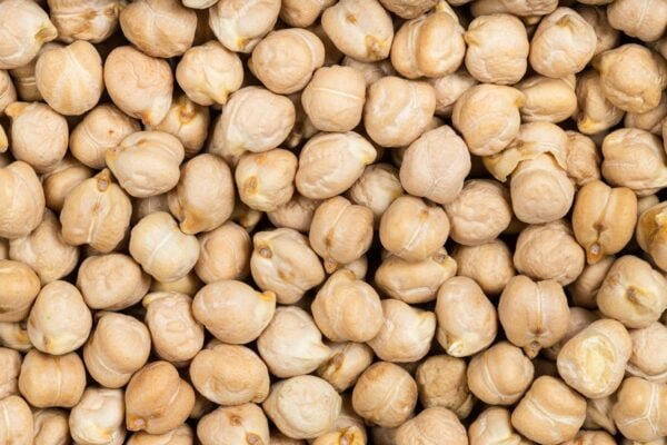 background - raw dried chickpea seeds