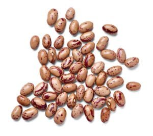 Pinto Kidney Beans by Gtb Exports