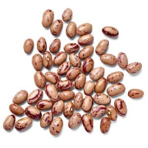 Pinto Kidney Beans by Gtb Exports