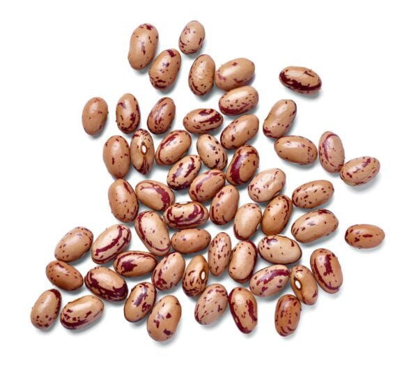 Pinto Kidney Beans by Gtb Exports