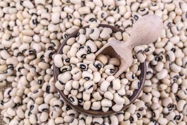 White cowpeas by Gtb Exports