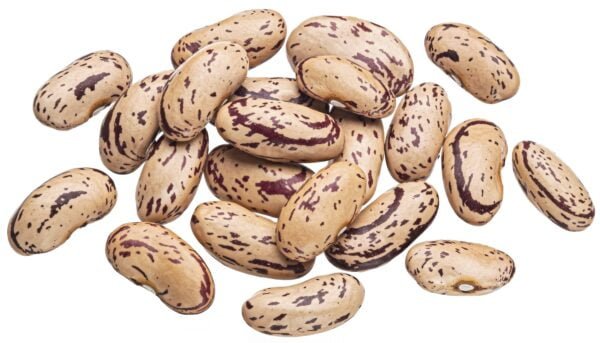 Cranberry or pinto beans isolated on white background