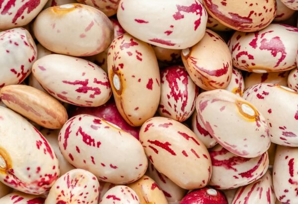 Macrophtography of kidney beans. Directly above, top view
