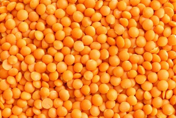Red lentils