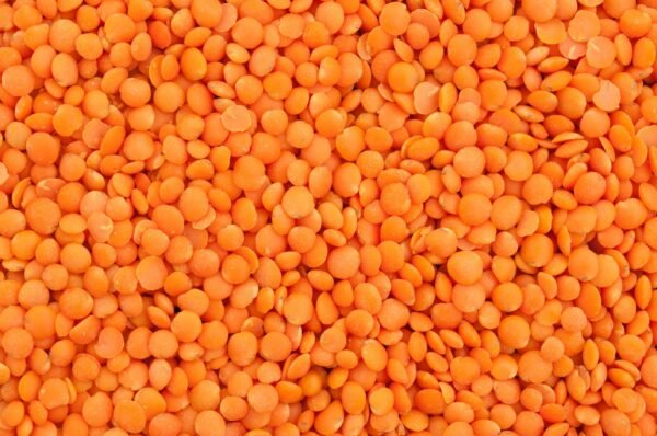Red lentils background