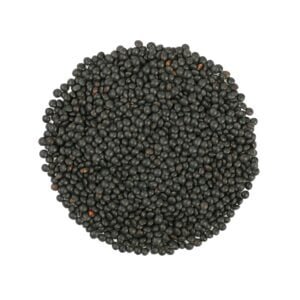 Round shaped black Beluga lentil isolated on white