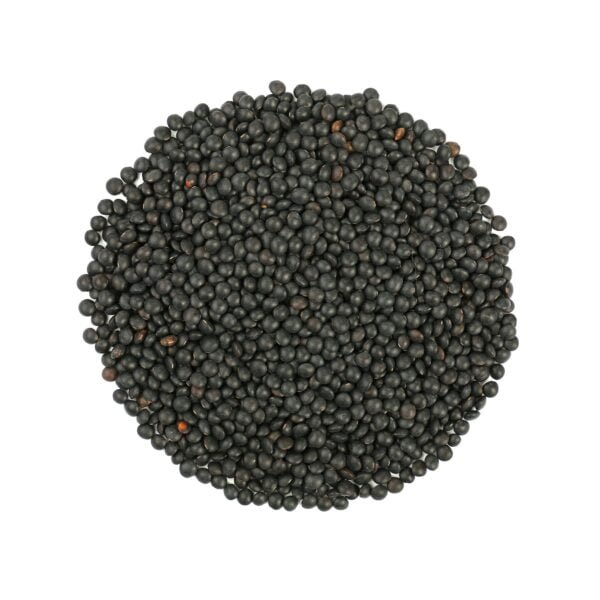 Round shaped black Beluga lentil isolated on white