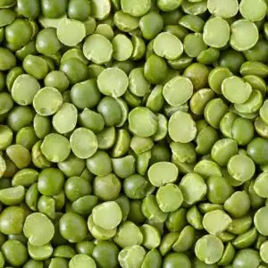 Split Green Gram by GTB Exports